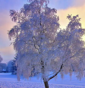 WX20220608-160006@2x.png