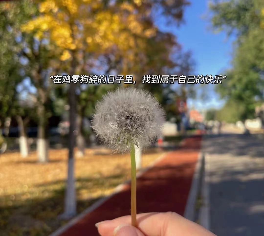 微信图片_20221213205318.jpg