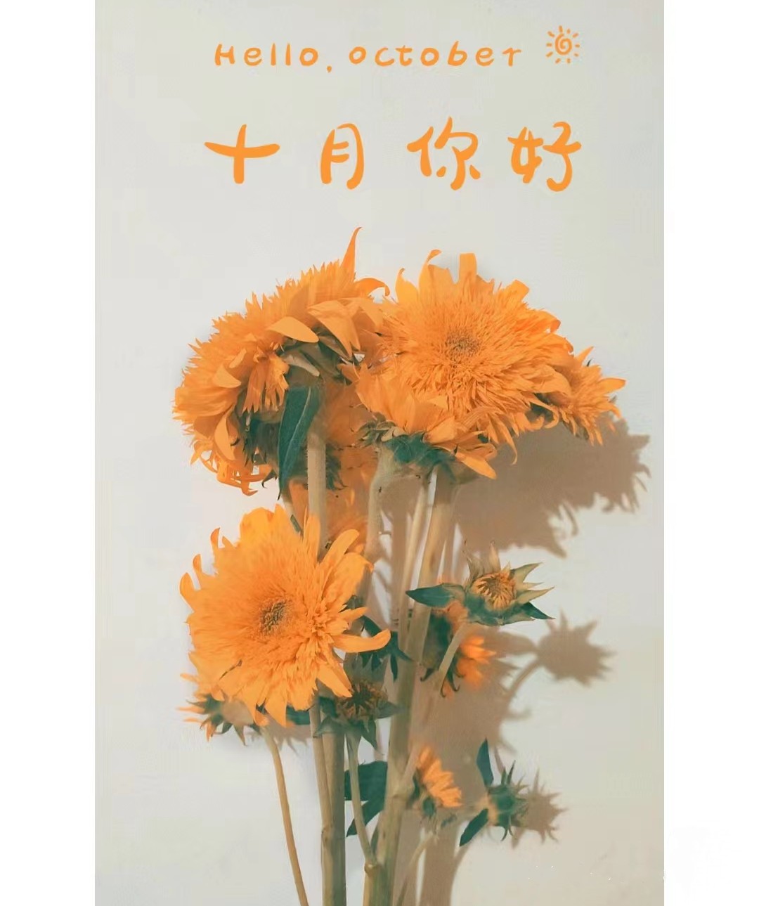 微信图片_20231009170738.jpg