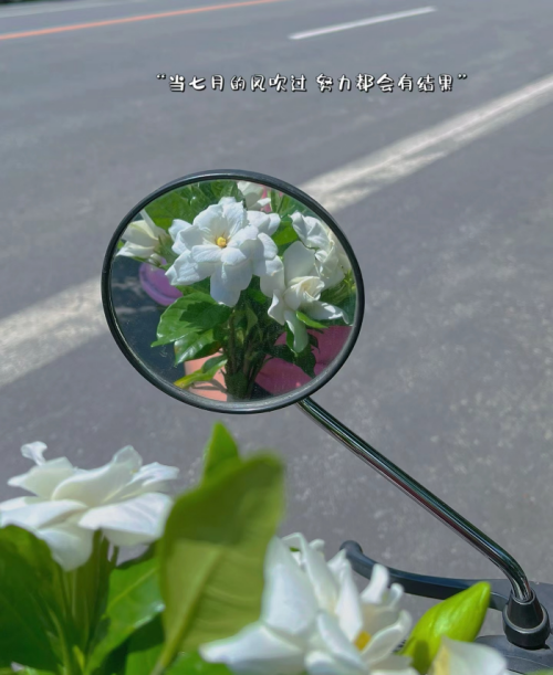 微信图片_20240629230545.png