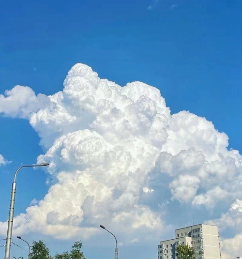 微信图片_20240630004743.jpg