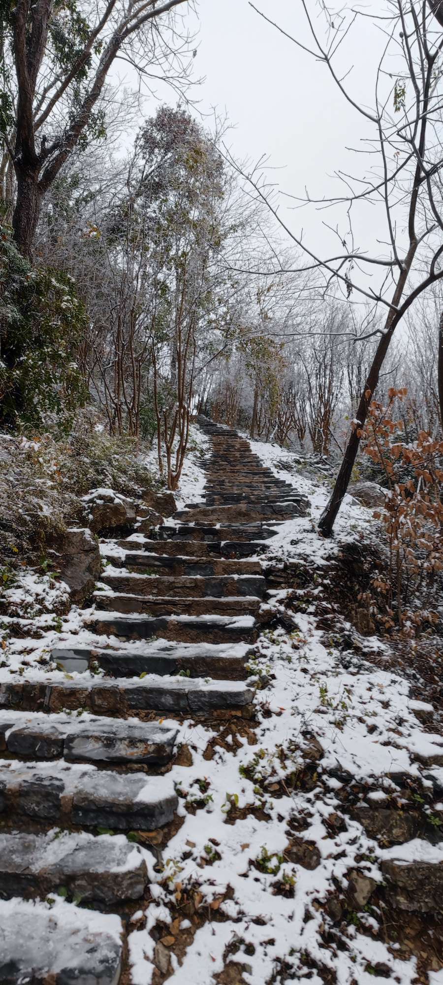 荆门圣境山雪景图片