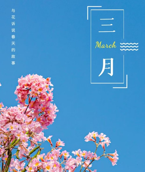微信图片_20250217150110.jpg
